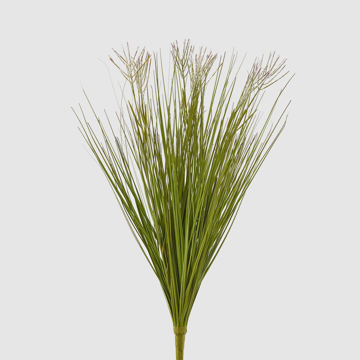 Cespuglio Festuca EDG in materiale sintetico realistico altezza 54 cm