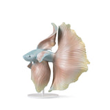 Scultura Pesce Betta Destra Lladrò in porcellana colorata 35x31 cm