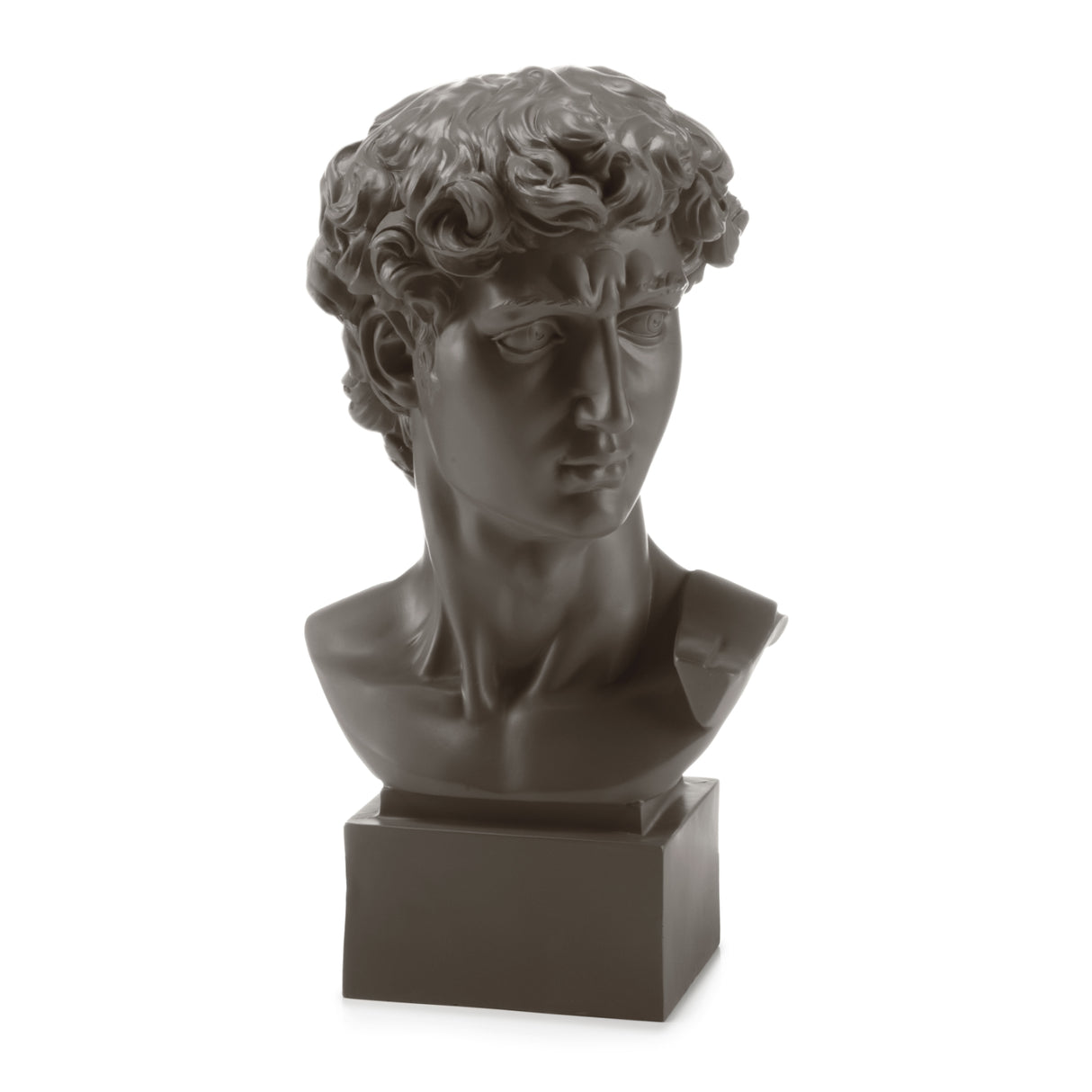 Busto David di Michelangelo Palais Royal in resina grigia 50 cm