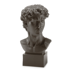 Busto David di Michelangelo Palais Royal in resina grigia 50 cm