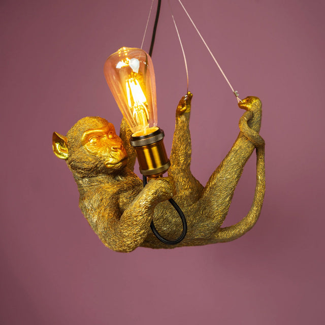 Lampada a sospensione Scimmia Charlie Werns in poliresina 37x30 cm