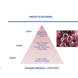 HYPNO CASA Ricarica Refill per Lampada Catalitica 500ml Mosto d'Autunno