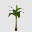 Pianta artificiale Banano EDG in materiale plastico altezza 170 cm