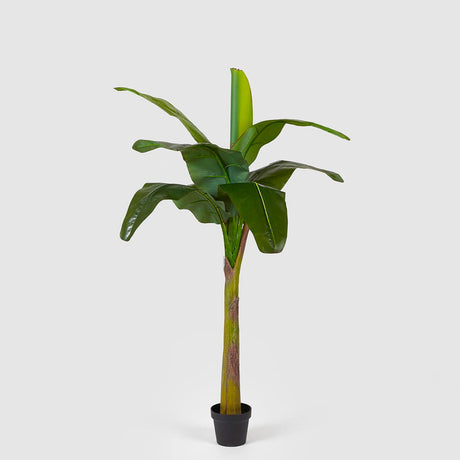 Pianta artificiale Banano EDG in materiale plastico altezza 170 cm