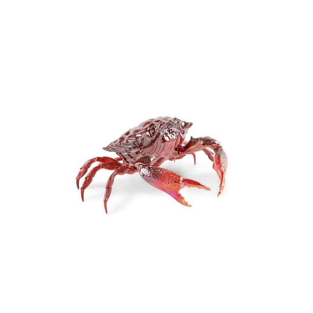 Scultura Granchio Rosso Lladrò in porcellana lucida 14x28 cm