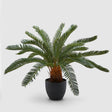 Pianta artificiale Cycas EDG in materiale plastico altezza 72 cm