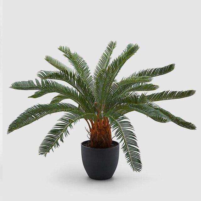 Pianta artificiale Cycas EDG in materiale plastico altezza 72 cm
