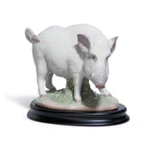 Statuetta Cinghiale Lladrò in porcellana decorata 15x19 cm