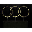 Decorazione luminosa Bizzotto circolare bianca 105 microled 35 cm