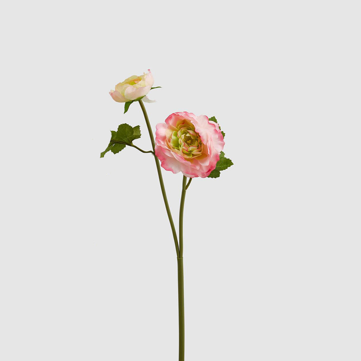 Fiore Ranuncolo EDG in materiale sintetico altezza 48 cm