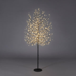 Faggio luminoso EDG in metallo nero 180 cm con 900 LED