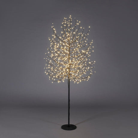 Faggio luminoso EDG in metallo nero 180 cm con 900 LED