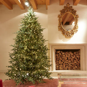 Albero di Natale Pino Luxury EDG in polietilene folto 240x152 cm