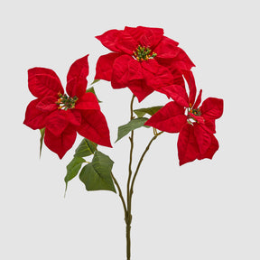 Stella di Natale EDG cespuglio 3 fiori rossi 50x25 cm