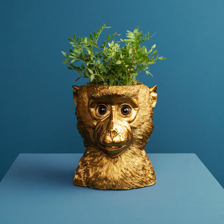 Vaso scimmia Bruce Werns in resina decorativa 20x23 cm